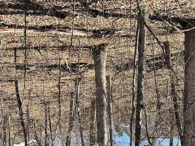 Unit 7 Holiday Island - Land