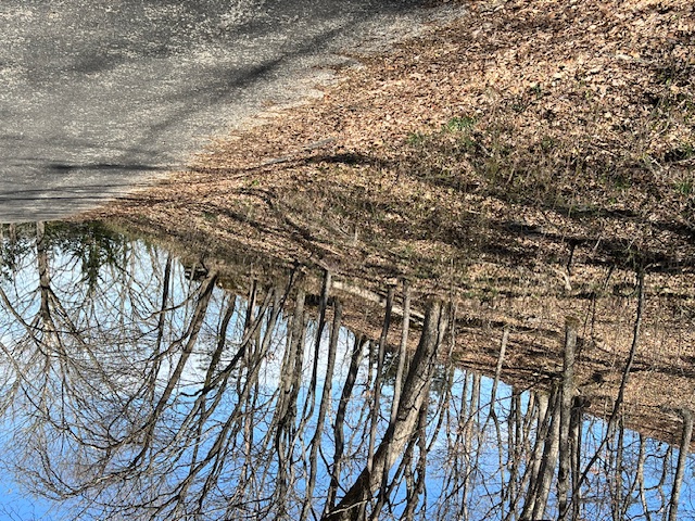 Unit 7 Holiday Island - Land