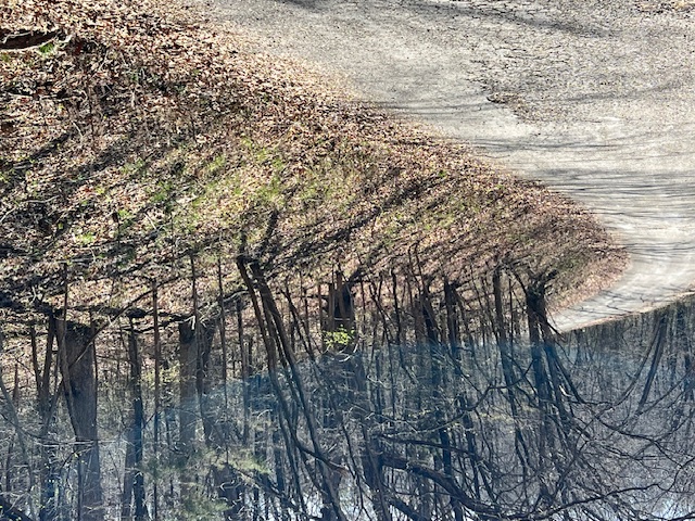 Unit 7 Holiday Island - Land