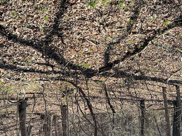 Unit 7 Holiday Island - Land