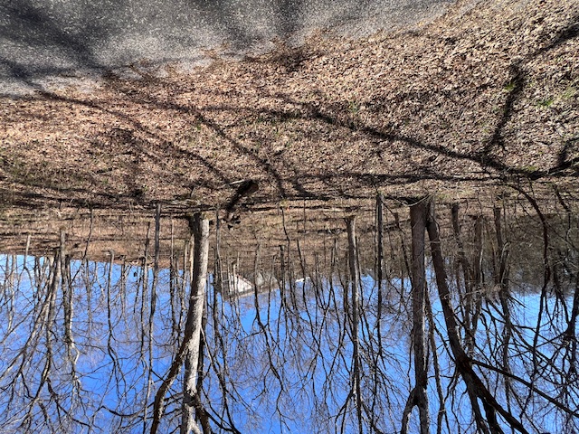 Unit 7 Holiday Island - Land