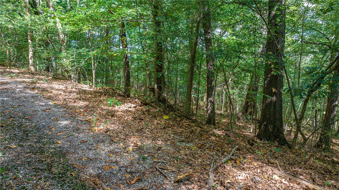 Chelmsworth Sub Bvv - Land