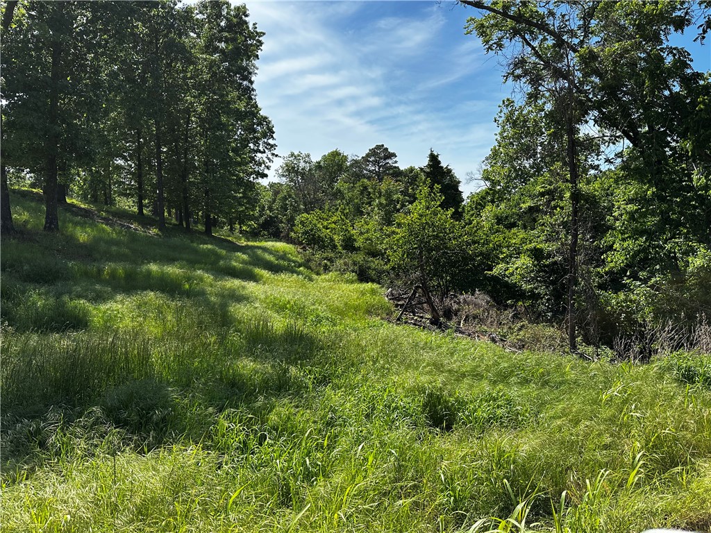 Tanglewood Resort 2 - Land
