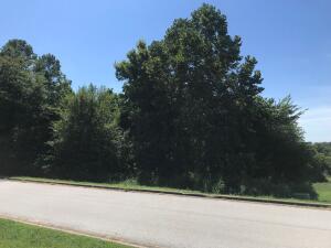 Wooded lot in popular subdivision. Walking distance from Skyline Elementary School.