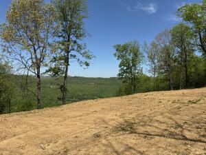 Welcome to Stone Mountain Sanctuary Estates. Located just minutes south of Jasper Arkansas in the heart of the Ozark National Forest and Buffalo River Country. This very private tract has access to rural water and electric on site. It has a wonderful view and great building spot. Possible owner financing available. Call today for details.