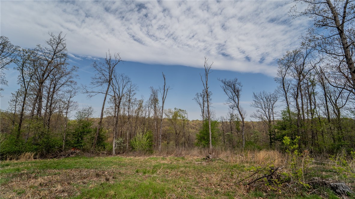 29-21-33-RURAL - Land