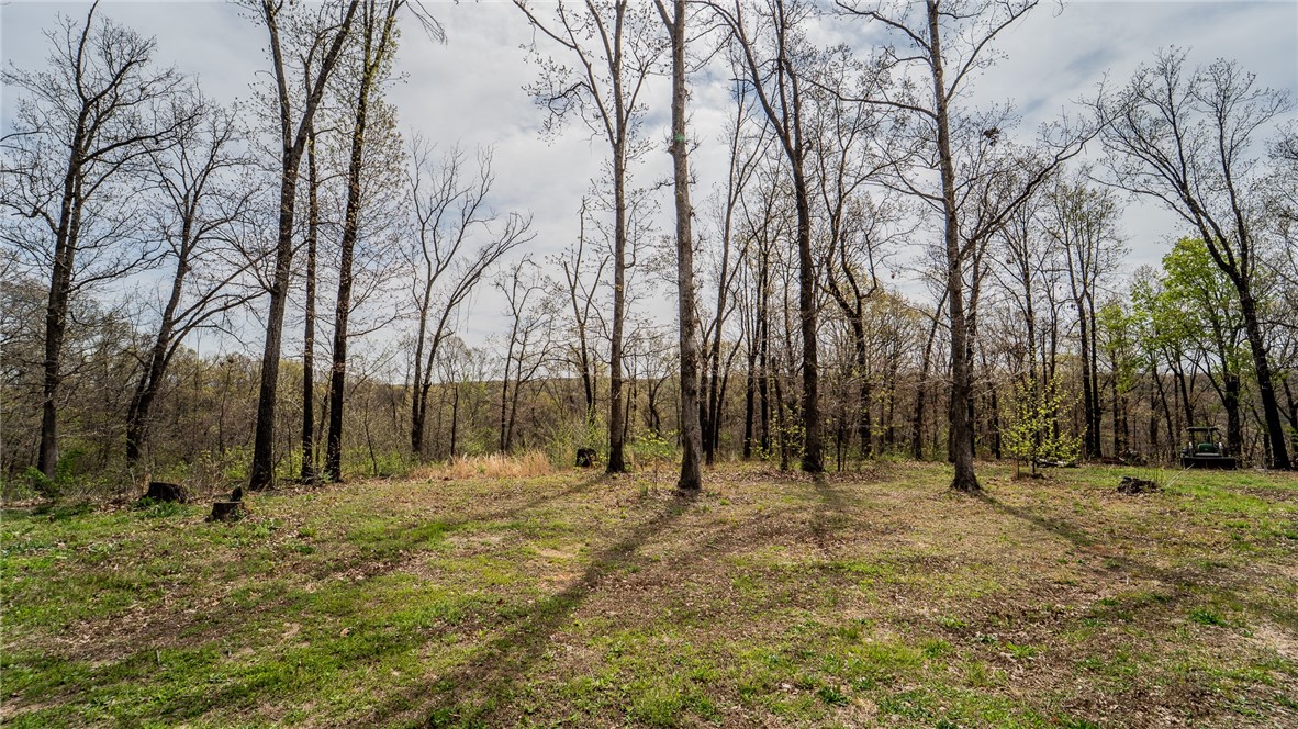 29-21-33-RURAL - Land