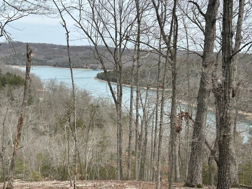 Just want a lakefront/lakeview with lake access for your dream lake home, this is your property.  Water and electric at paved county road frontage with multiple building sites, to choose just the right spot for your home.  New Survey and brush clearing makes this property easy to walk on and view the best lake views from multiple locations. 125 ft of lakefrontage.   Part of the Big Clifty State Approved Water District saving you $35,000+ and a 6 month wait on a private water well.