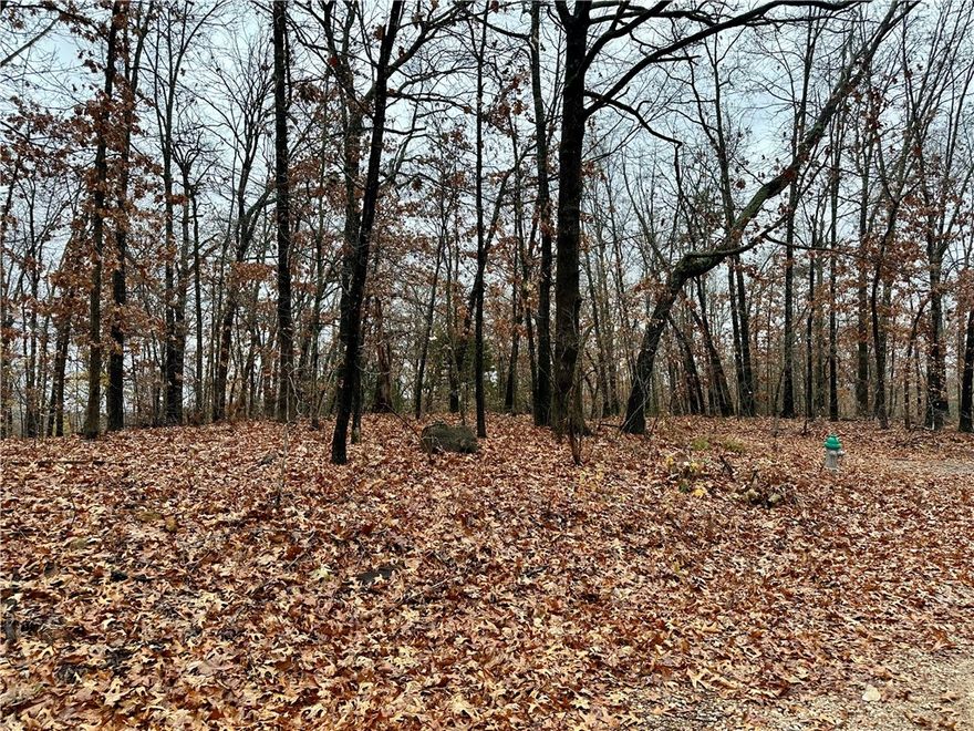 Build your dream home on this beautiful, mostly flat lot in the heart of Bella Vista! This ready-to-build lot is in a peaceful, wooded setting, and provides enough space for your ideal home design. Mountain bike enthusiasts will love the easy access to nearby world-class trails, making it effortless to enjoy cycling and outdoor lifestyle. Whether you're planning a full-time residence or a weekend getaway. As a Bella Vista resident, you’ll enjoy access to 7 lakes, 7 golf courses, multiple rec centers, clubhouses, and more. Whether you’re seeking relaxation or recreation, this community has something for everyone.
