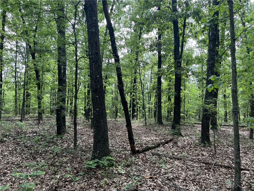 8.72 Acres with large trees and nice building sight. New drilled water well (no pump) and NO Restrictions. Come check it out today.