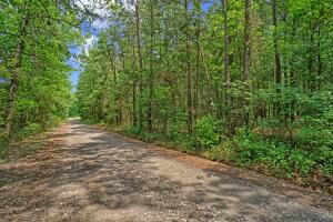 Welcome to your perfect home-building opportunity! Nestled among lush trees and foliage, this 5.59 acre lot is the ideal spot for you to build your dream home. Located just off of Pine Ridge Road, you will be surrounded by nature while still being close enough to town that all of life's necessities are within reach. Plus, with Dover Schools nearby, you can rest assured that your family will have access to a great education.
