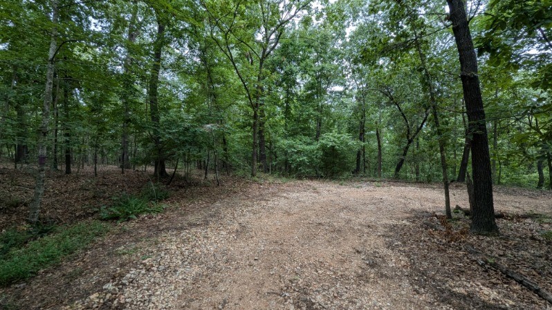 Discover this serene wooded lot in beautiful Bella Vista. The gently sloping terrain offers a secluded setting with only one other home on the street. Enjoy a short drive to the golf course and all the amenities this charming town has to offer. This blank canvas is the perfect spot to build your future home. Donāt miss this opportunity!