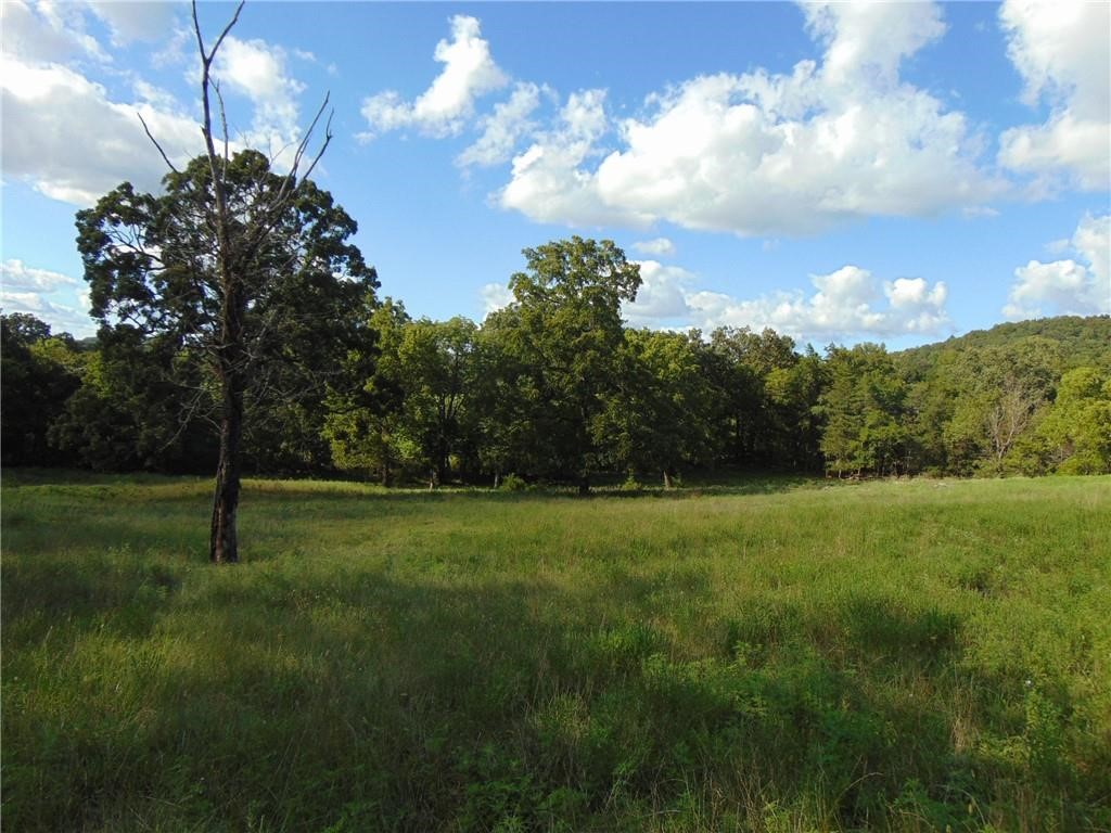Beautiful 29.04 acres located just north of Berryville. No covenants! Private setting, rolling hills, and surrounded large by open pastures. Acreage sits just barely over a mile off of Hwy 21 N and is located on a well-maintained county road. Perimeter fenced with tight woven wire, and ready for goats, sheep, cattle, horses, or any other livestock. Cross fenced to separate the approximately 9-acre hay field. Large pond already stocked with catfish. Recently surveyed.