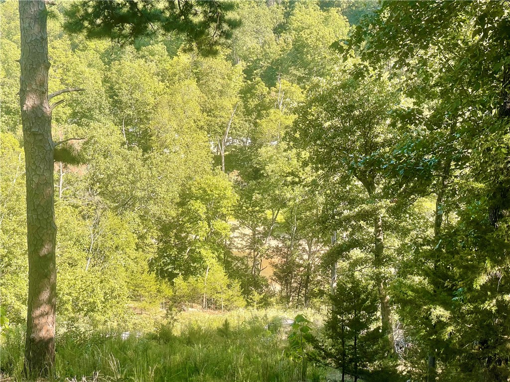 26-19-29-Rural - Land