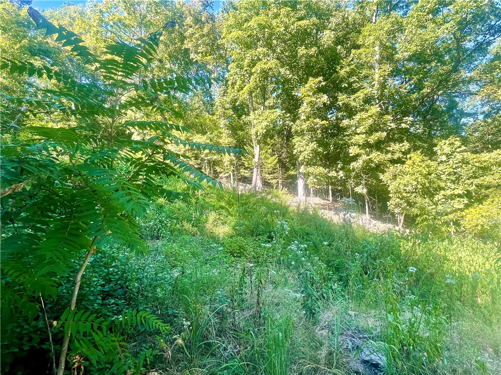 BEAVER LAKE AREA Lake frontage Lot at the corner of the property at Horseshoe Bend. Beautiful building site for your Dream home on a dead end paved road. Mature trees and a short walk to the lake. Established neighborhood with Corp frontage. Short drive to town.
