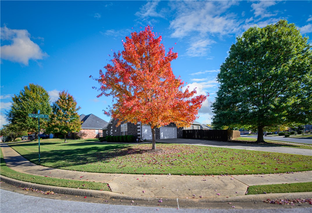 Steeplechase Sub Springdale - Residential