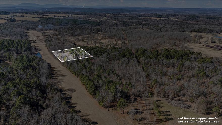 Discover a rare opportunity to own an one-acre lot in a unique and evolving rural setting, perfectly positioned next to an active airstrip. This property offers a distinctive blend of privacy, open space, and aviation access: ideal for enthusiasts, or anyone seeking something out of the ordinary. Imagine the convenience and excitement of fly-in access right to your doorstep, making travel seamless and truly one-of-a-kind. The surrounding area is already generating interest with planned development for a community campground, scenic lookout tower, and additional outdoor oriented amenities designed to enhance the natural landscape and create a destination atmosphere. The rural setting delivers peaceful surroundings, wide open skies, and a strong connection to nature while the nearby airstrip and upcoming community features add both value and appeal. Opportunities like this are increasingly rare: own a piece of land where lifestyle, recreation, and potential growth all take flight.