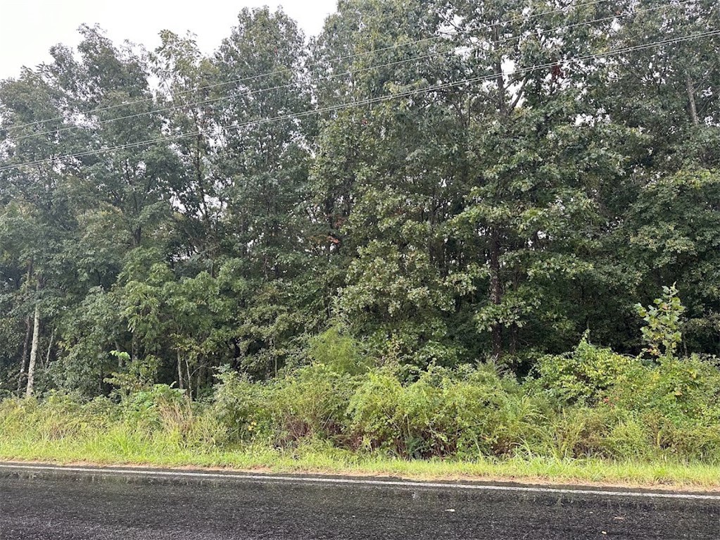 Escape to tranquility on this 1.030-acre parcel nestled on Posy Mountain Road in the Benton County, AR. Tucked away inside the esteemed Lost Bridge Village, this property offers a rare blend of seclusion &convenience, making it an ideal canvas for your dream home. Immerse yourself in the natural beauty of the wooded surroundings, providing a private & peaceful vibe. Despite its secluded feel, this hidden gem is just 12.5 miles from Downtown Rogers, ensuring you're never far from city life and cultural attractions. Embrace the allure of lakeside living with the proximity to Beaver Lake, adding a touch of adventure &scenic beauty to your life. Strategically located off Posy Mountain Road, enjoy easy access from a paved road, ensuring convenience while maintaining the serene location. What sets this property apart is the perfect balance between a private retreat & accessibility to the City of Rogers. With water & electricity available at the street, this acreage is ready for your vision to come to life.