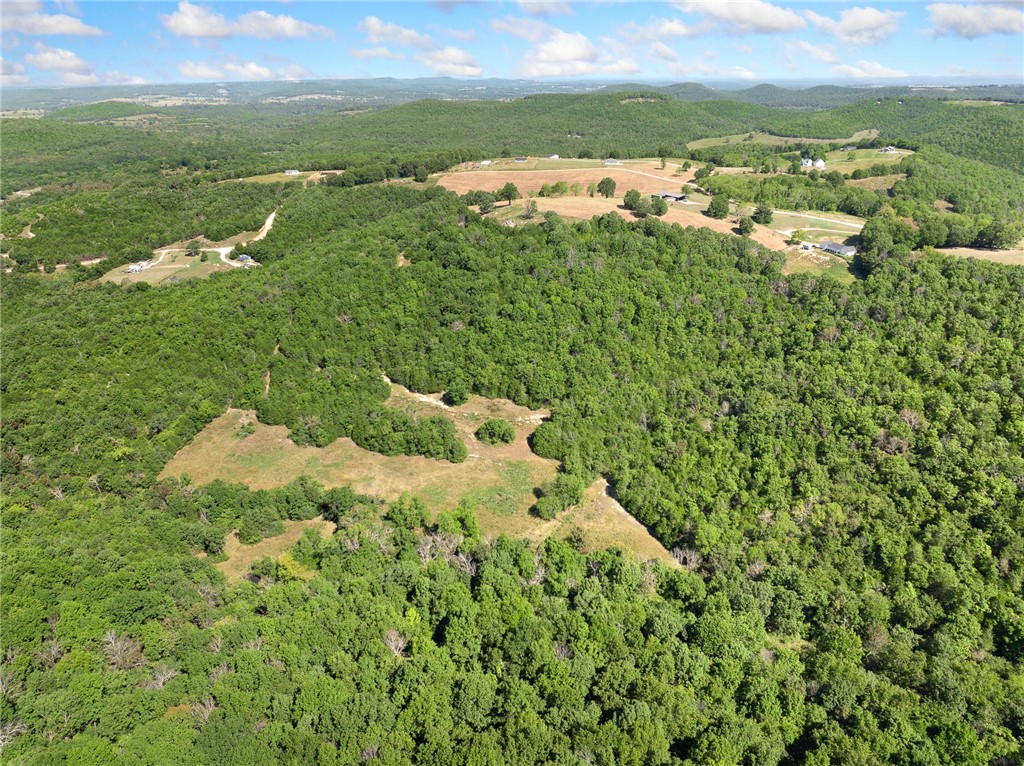 19.11 acres of prime land. Plenty of area to build on or use to hunt on.