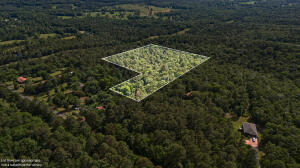 14.53 acres +/- in the Atkins School District! 15 mins from Russellville but still has a country and secluded feel to it!