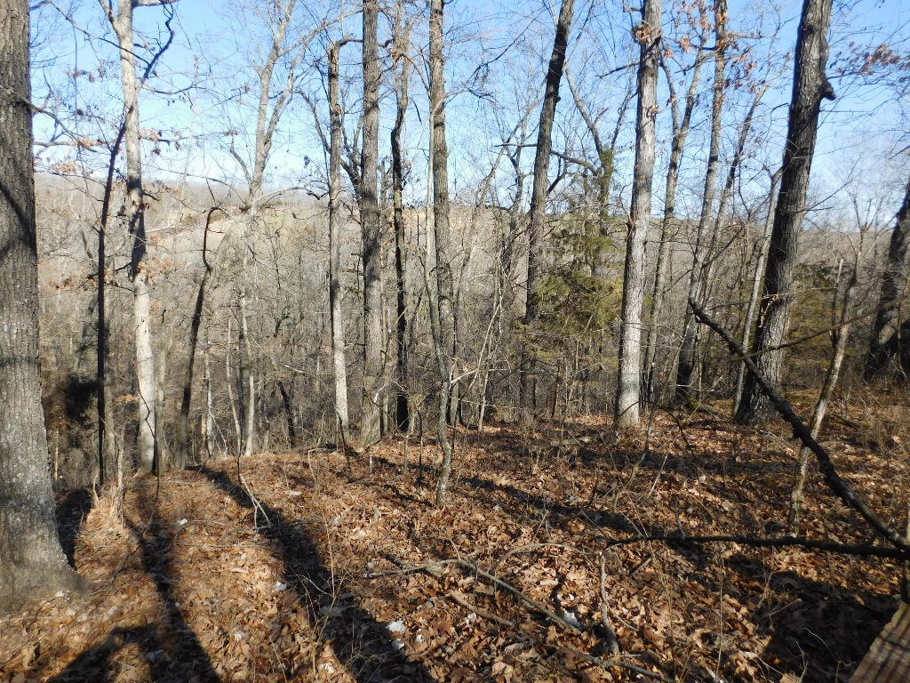 40.13 acres near Bergman with multiple building sites. Utilities available. All wooded with a pond on the property. Near Harrison and Lead Hill. Just a short drive to Bull Shoals Lake.