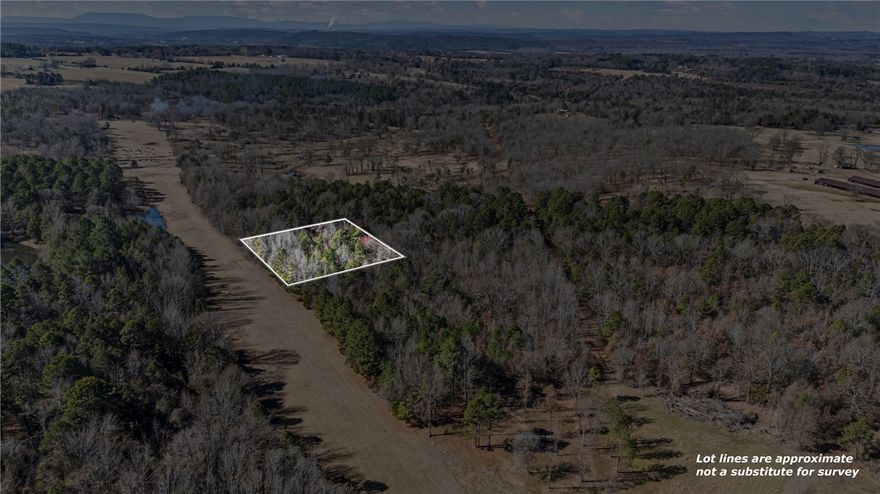 Discover a rare opportunity to own an one-acre lot in a unique and evolving rural setting, perfectly positioned next to an active airstrip. This property offers a distinctive blend of privacy, open space, and aviation access: ideal for enthusiasts, or anyone seeking something out of the ordinary. Imagine the convenience and excitement of fly-in access right to your doorstep, making travel seamless and truly one-of-a-kind. The surrounding area is already generating interest with planned development for a community campground, scenic lookout tower, and additional outdoor oriented amenities designed to enhance the natural landscape and create a destination atmosphere. The rural setting delivers peaceful surroundings, wide open skies, and a strong connection to nature while the nearby airstrip and upcoming community features add both value and appeal. Opportunities like this are increasingly rare: own a piece of land where lifestyle, recreation, and potential growth all take flight