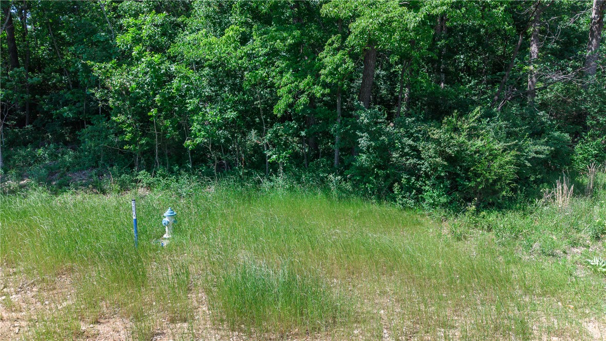 Anderson Farm - Land