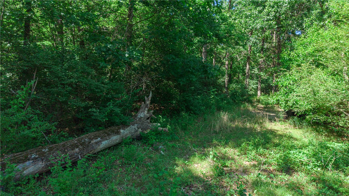 Anderson Farm - Land