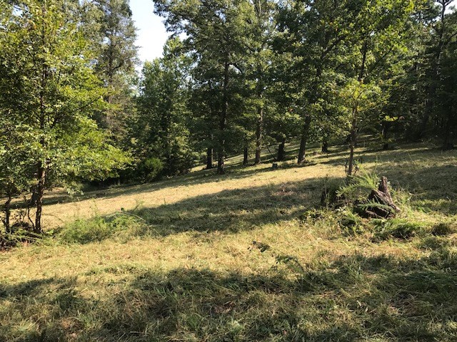 This is the place to get away from it all and enjoy country living. Located just 8 miles south of Eureka Springs with paved county road access and frontage. This land is fenced, has a small pond, shed, 1/2 cleared and planted in grass for livestock and part is wooded with a spring down the valley. Nice building spots and views.