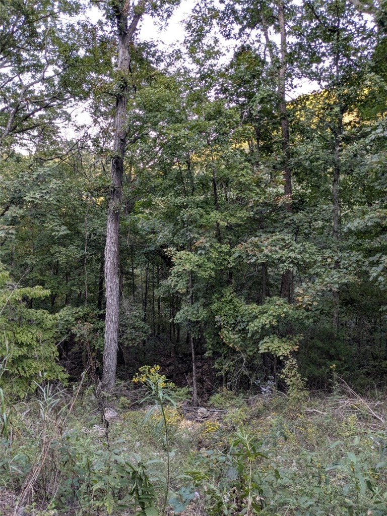 Unit 11 Holiday Island - Land