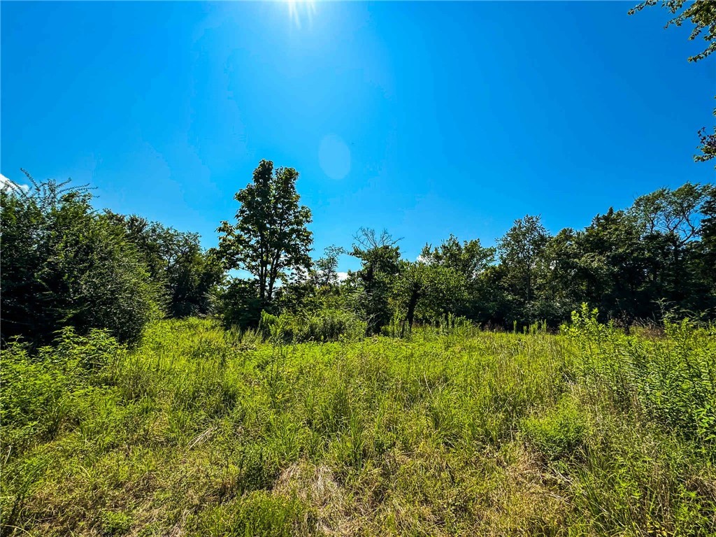 This 2-acre lot in Altus comes mostly cleared with all utilities already connected. You've got septic, public electric, sewer, and water all on-site, so you can skip the headaches and start building.
The property is located on W College Street with good access and plenty of space to spread out. At 2 acres, there's room for whatever you have in mind - big house, workshop, garden, or just elbow room.
Everything's in place. No waiting on utility companies. Just bring your house plans.