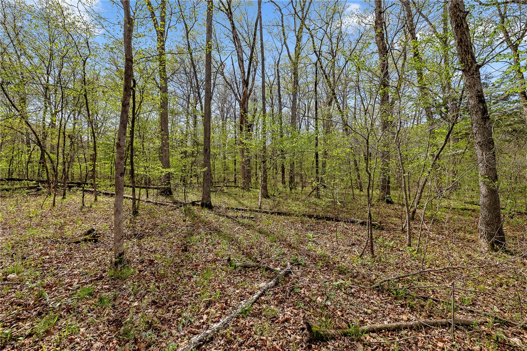 Oaks Landing On Table Rock Lake - Land