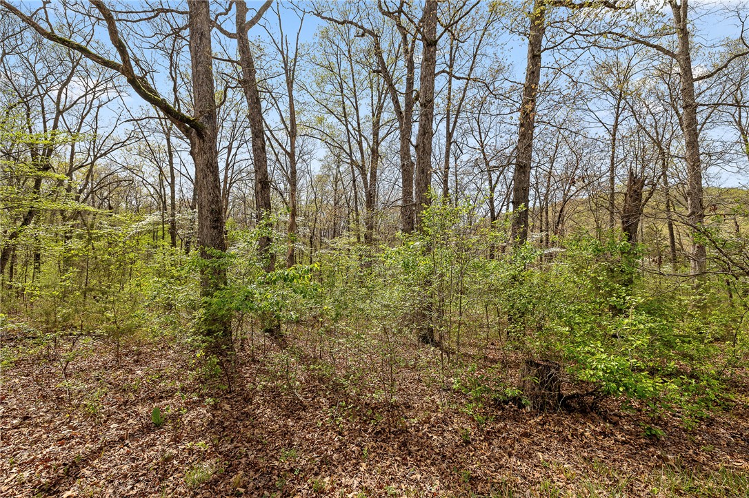 Oaks Landing On Table Rock Lake - Land