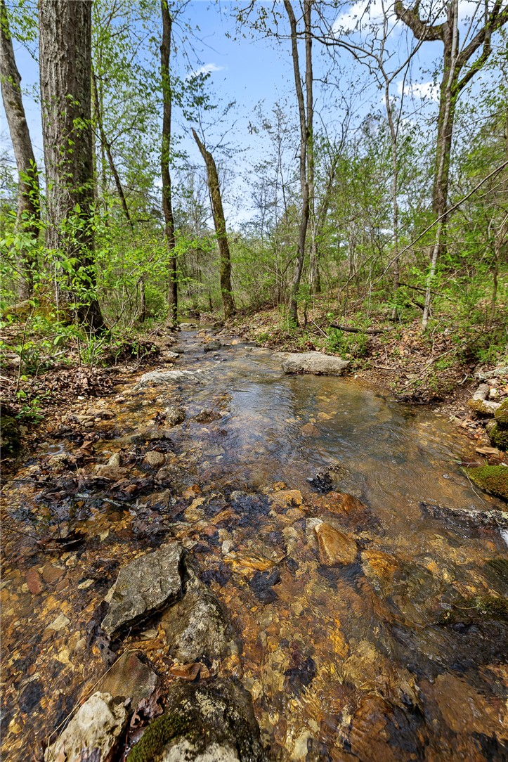 Oaks Landing On Table Rock Lake - Land