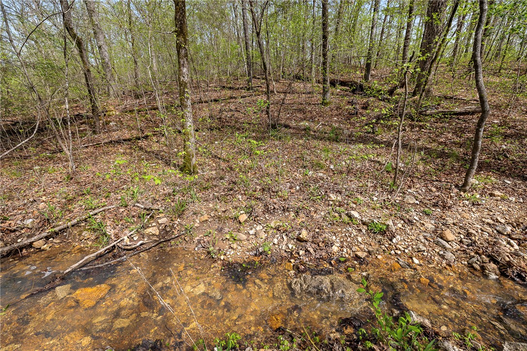 Oaks Landing On Table Rock Lake - Land