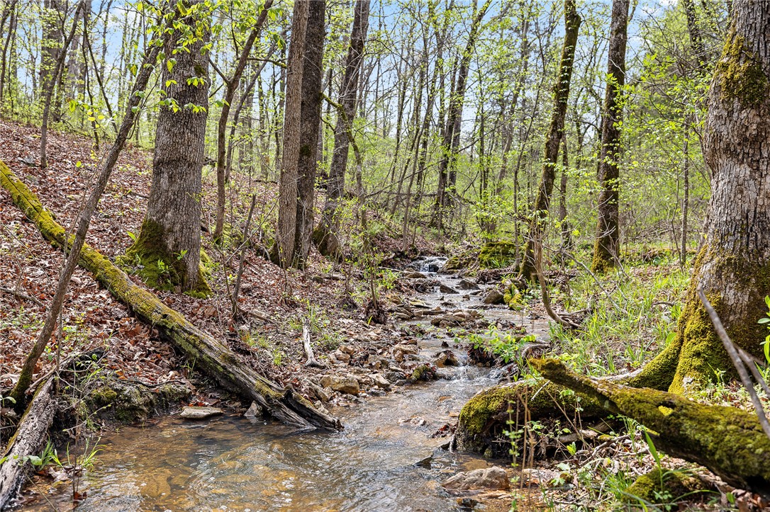 Oaks Landing On Table Rock Lake - Land