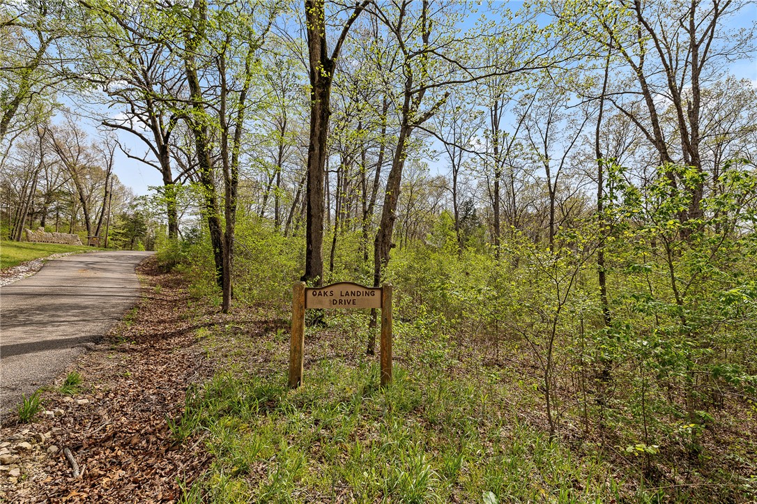Oaks Landing On Table Rock Lake - Land