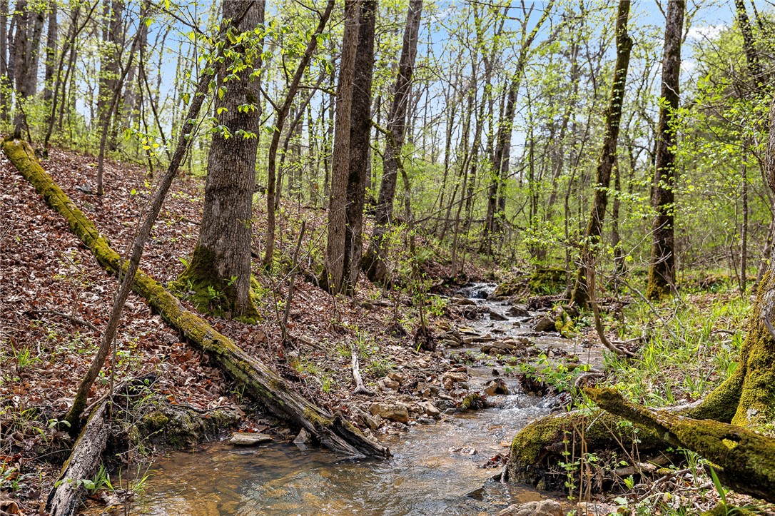 Oaks Landing On Table Rock Lake - Land