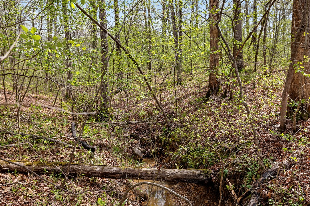 Oaks Landing On Table Rock Lake - Land