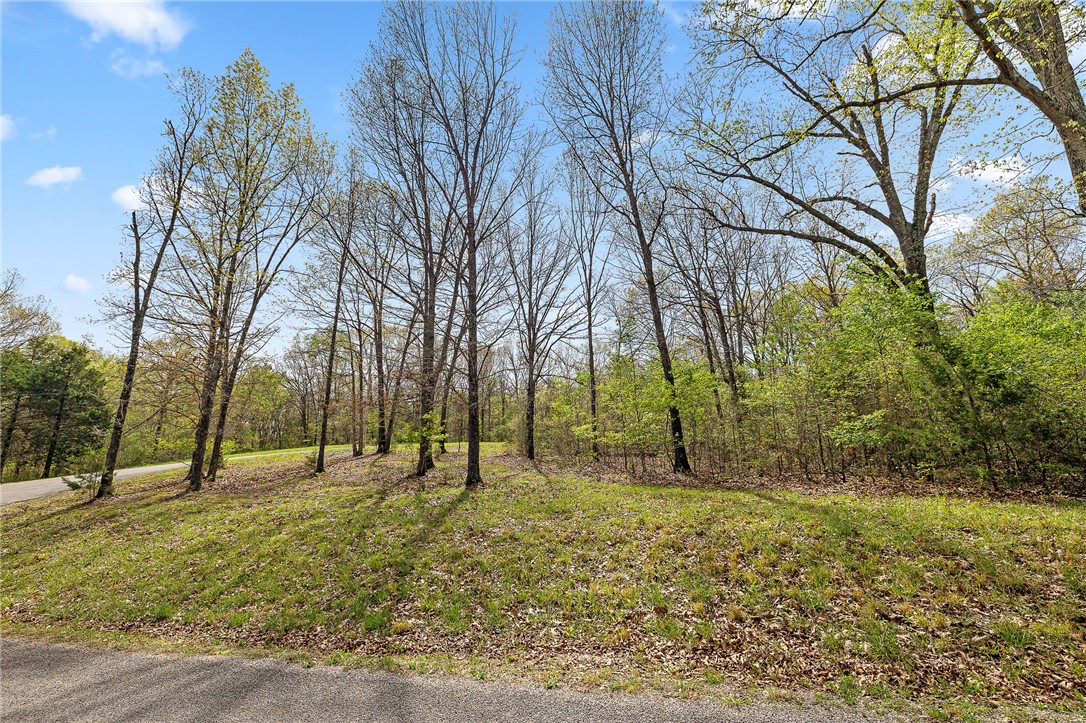 Oaks Landing On Table Rock Lake - Land