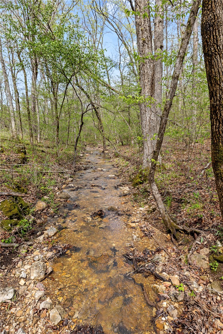 Oaks Landing On Table Rock Lake - Land