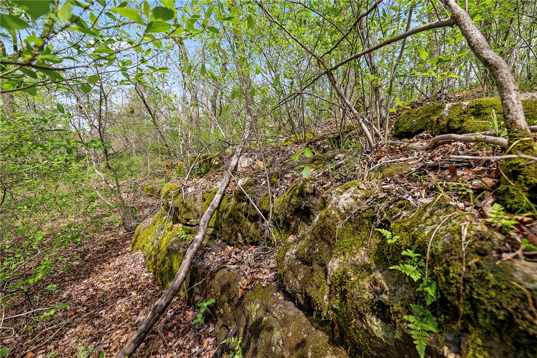 Oaks Landing On Table Rock Lake - Land