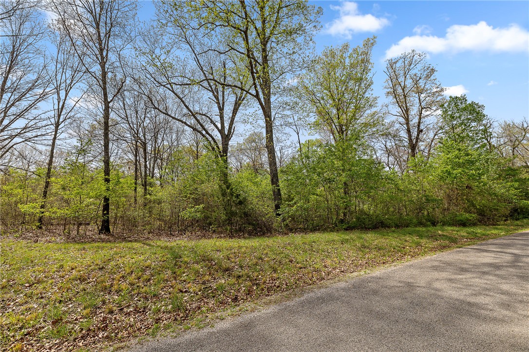 Oaks Landing On Table Rock Lake - Land