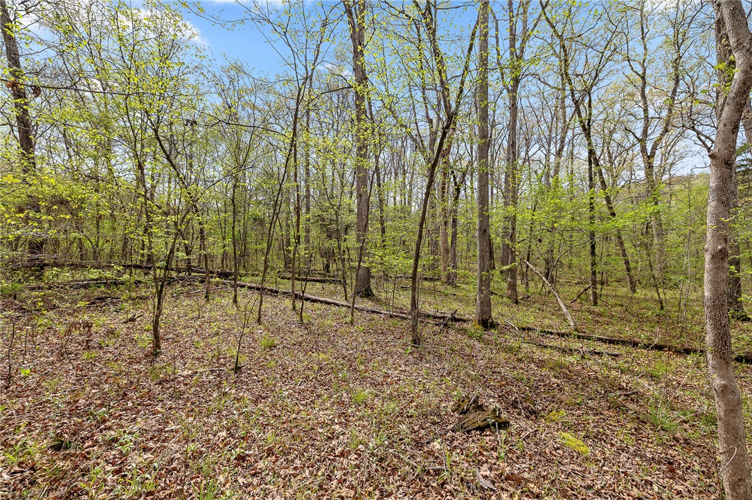 Oaks Landing On Table Rock Lake - Land