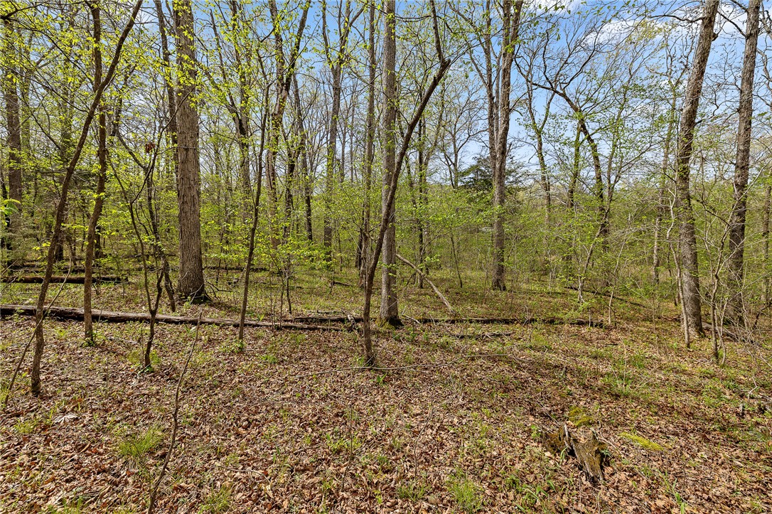Oaks Landing On Table Rock Lake - Land