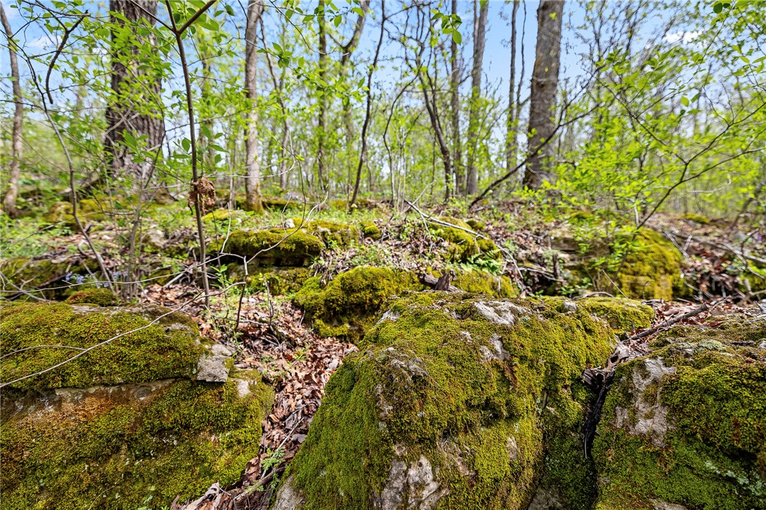 Oaks Landing On Table Rock Lake - Land