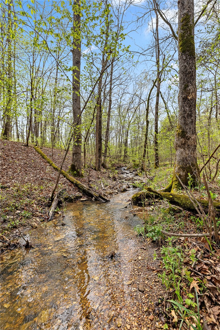 Oaks Landing On Table Rock Lake - Land
