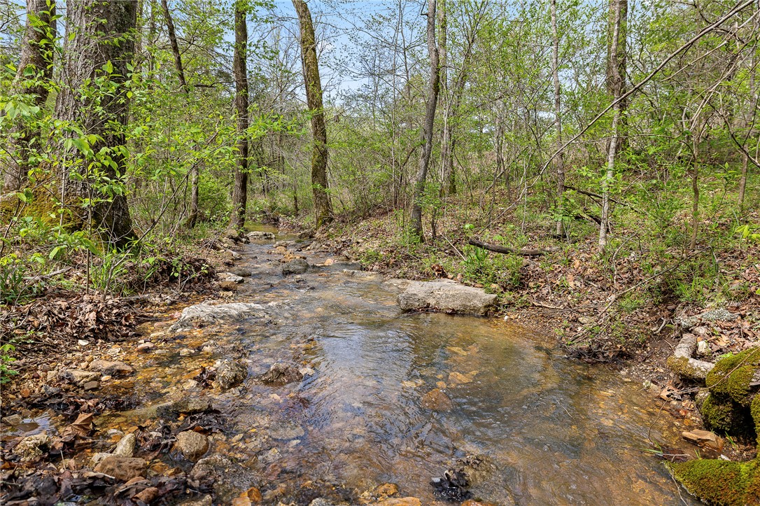 Oaks Landing On Table Rock Lake - Land