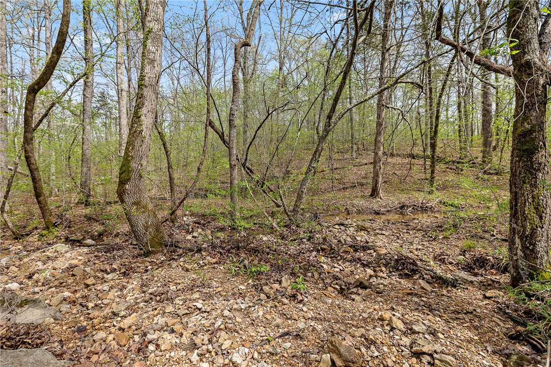 Oaks Landing On Table Rock Lake - Land