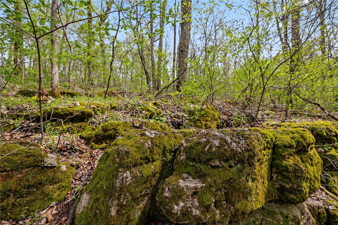 Oaks Landing On Table Rock Lake - Land